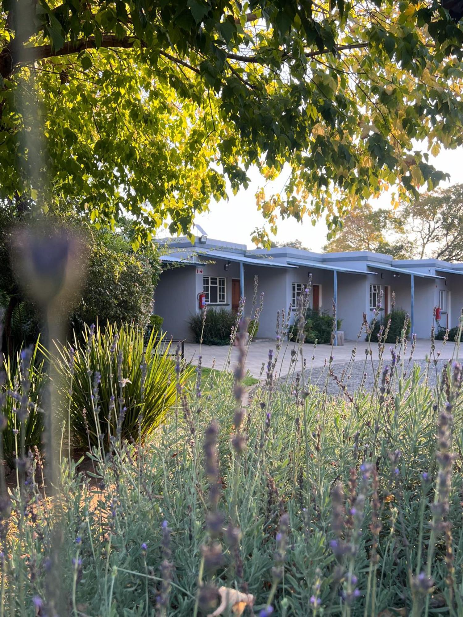 Patterson B&B Newcastle Exteriér fotografie