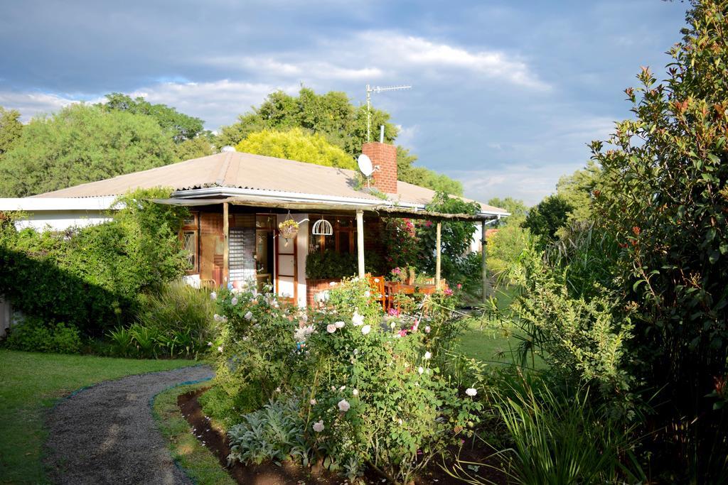 Patterson B&B Newcastle Exteriér fotografie